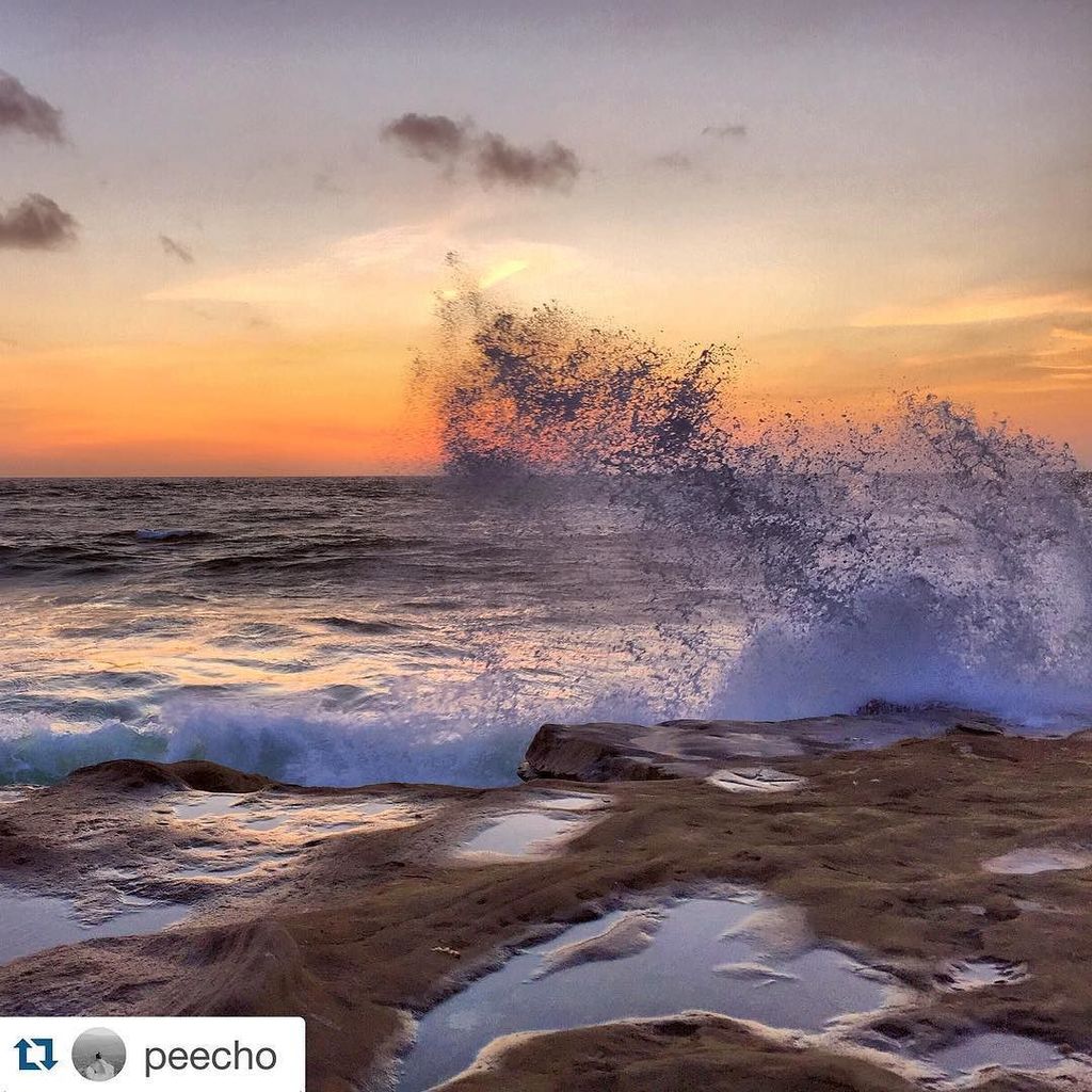 NomadJunkies's tweet photo. Photo du jour par @peecho ๐
ใปใปใป
Splish splash I was taking a bath ๐
๐ผ #sunsetsplash #sunsetporn #sandiego #socal #caโฆ https://t.co/WY6B4OBVqv
