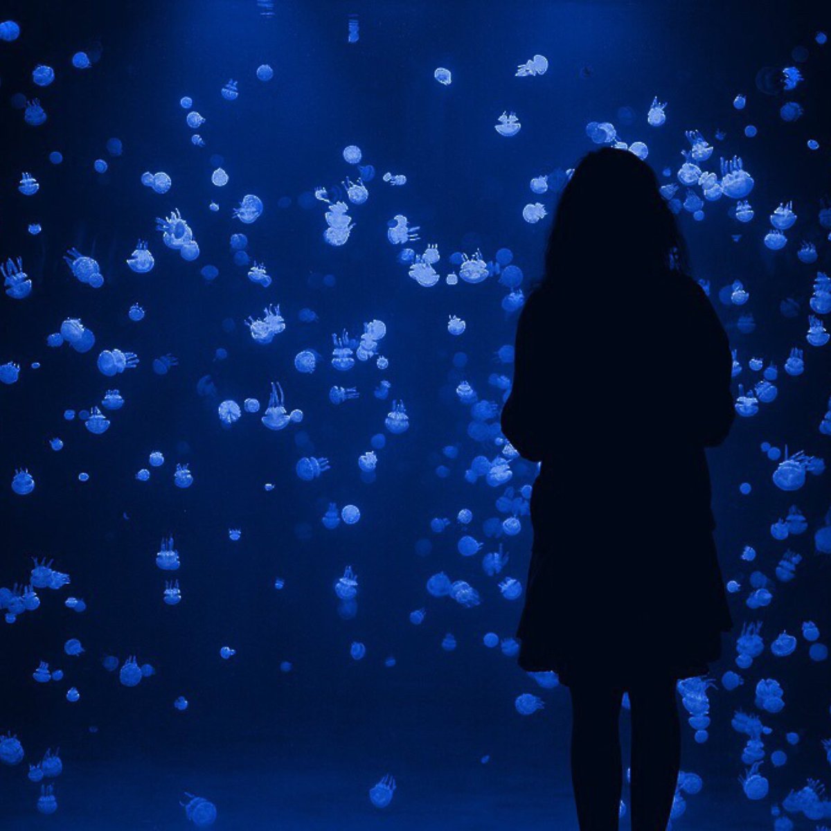 Dark Blue Aesthetic Profile Pictures - Find 20 images that you can add