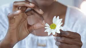 GayJamaicans's tweet photo. Counting Petals https://t.co/QLhZWiOQ9j https://t.co/b1dDz67x4n