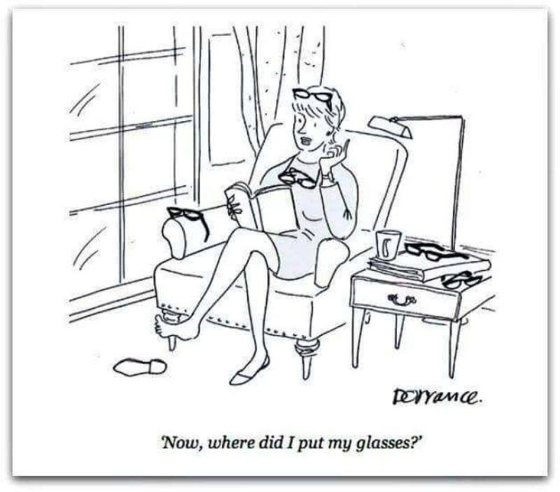 lela_suttee's tweet photo. Relatable picture lol! #truth #4eyes #ifhousescouldtalk #author #writer #books #shortstories #ilovereading https://t.co/TE7Rb6Csla