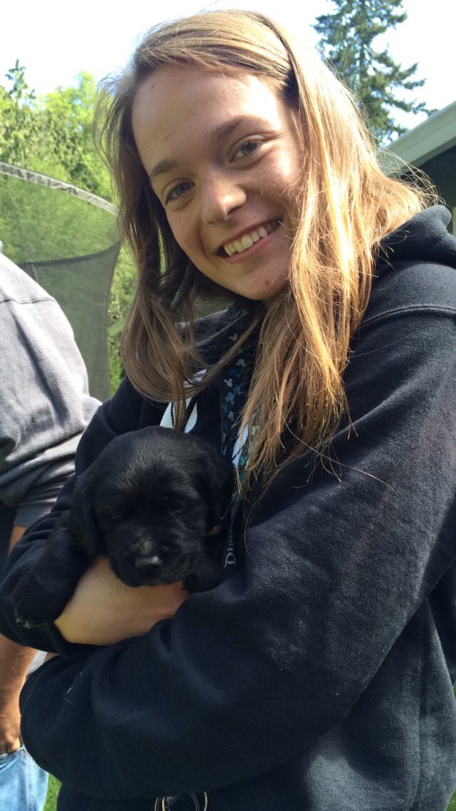 AshleyBush22's tweet photo. Love this new addition to our family #MeetHarley 🐶❤️ https://t.co/HkOVQ6vcV8