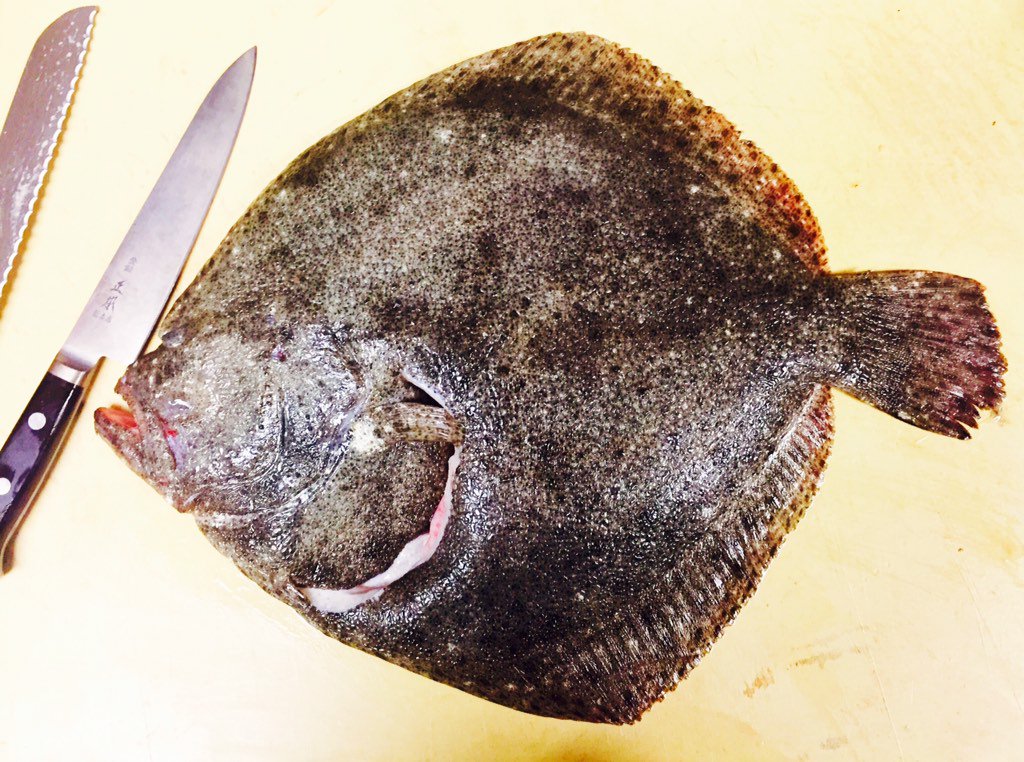 chefgresham's tweet photo. Nothing better than roasted #turbot! Tonight's special @ The Kitchen by @WolfgangPuck thank you @Fortune_Fish !! https://t.co/2A0BPIKKa6