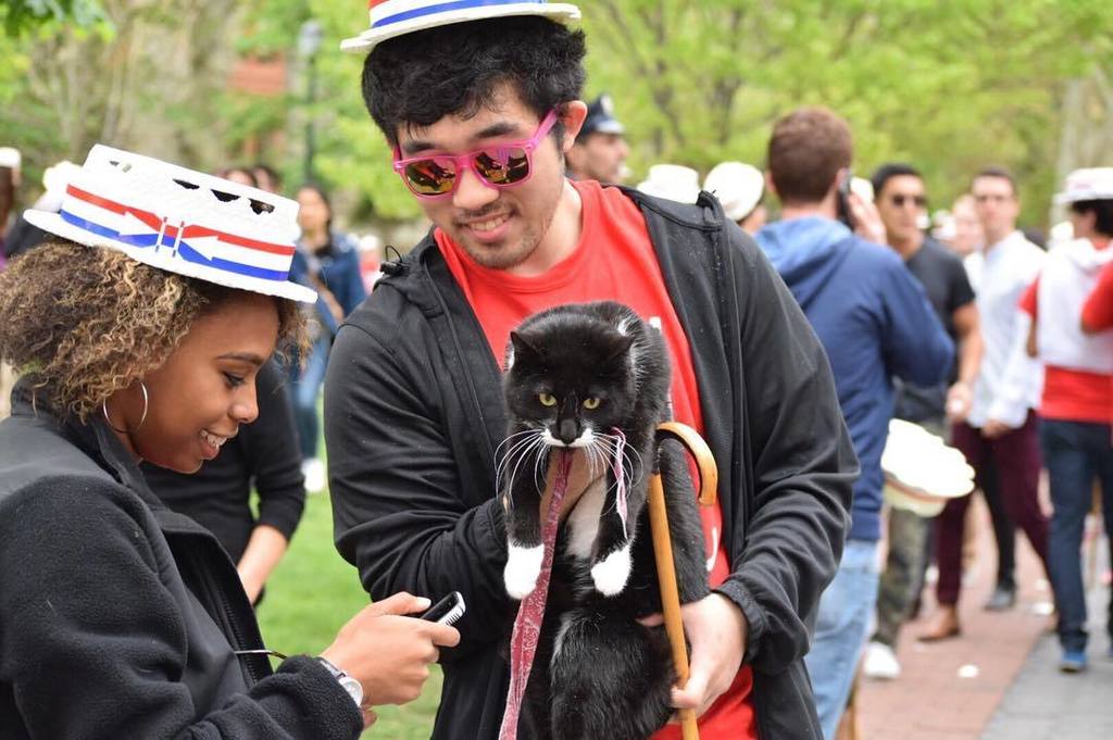 Penn's tweet photo. If anyone asks, this cat is a member of #Penn17. #penn #heyday100 https://t.co/DFyAHwJPpA https://t.co/9eDDbujJ5S