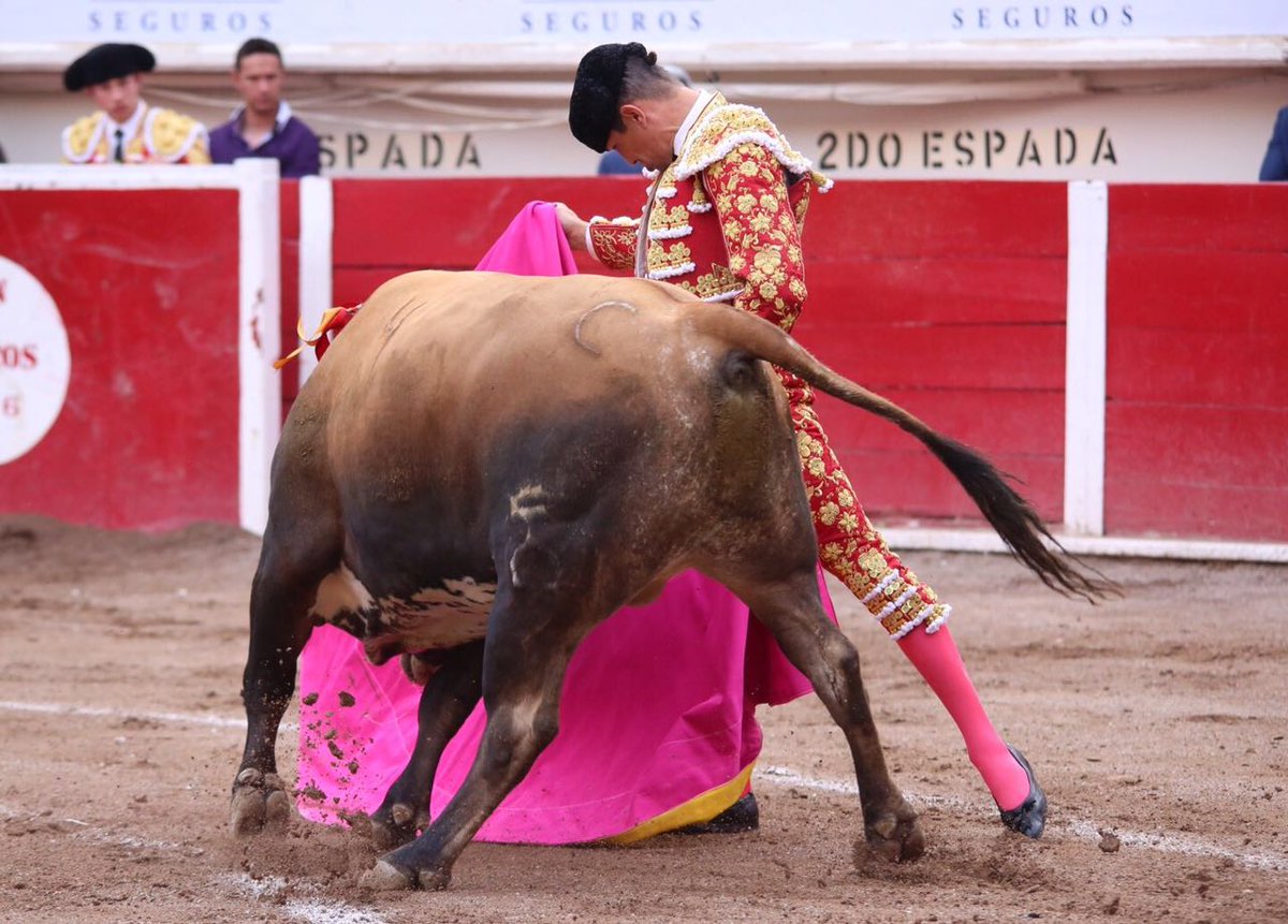 ntrtoros's tweet photo. #Aguascalientes José María Manzanares se mostró esforzado con un ejemplar de que evidenció falta de fuerza. Palmas. https://t.co/fi17nr8U5C