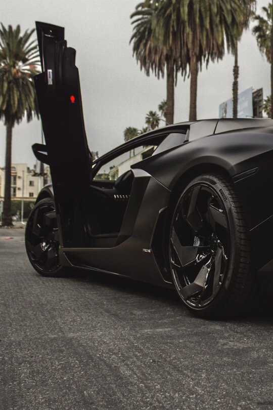 Lavish LifeStyle tweet media