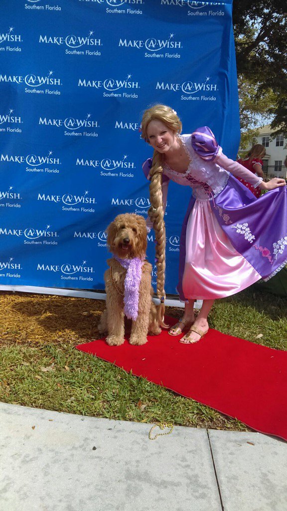 Maryann_C5's tweet photo. Wags 4 Wishes! Furry Fashion Show with Rapunzel! #edupowered #championsagainstbullying https://t.co/gotQ3t4gLs