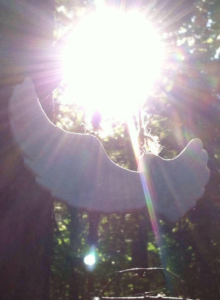 HudsonFasteners's tweet photo. You absolutely inspire @LynnTilton❣ #ThankYou #LoveWins #LightWin
#Lovefromabove 😇✨✨✨
@Butterflylubna @FoxBusiness https://t.co/hfxkRzcFBM