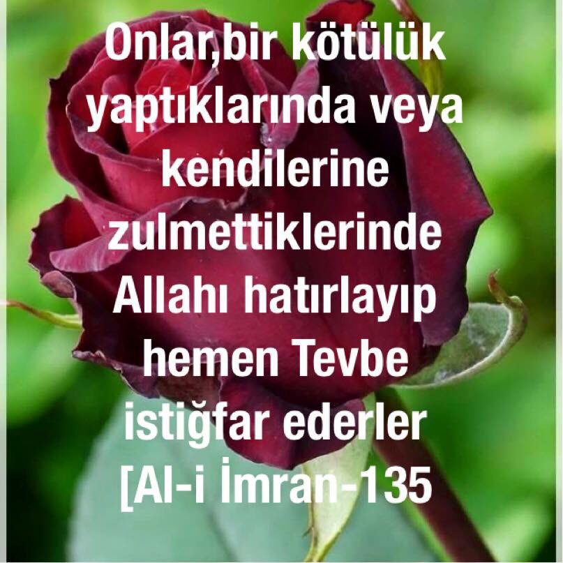 hadis_pinari tweet picture