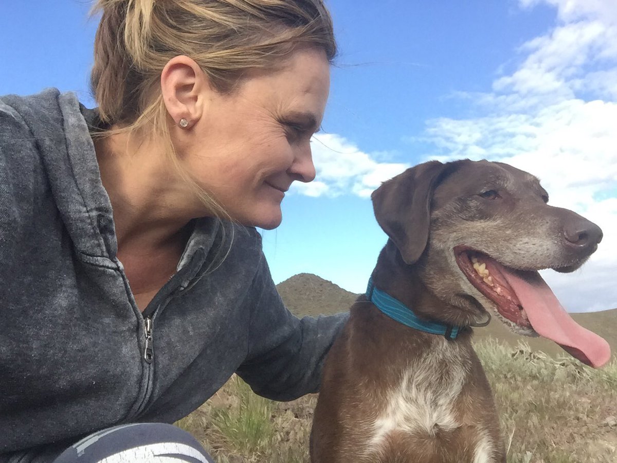 skiangie's tweet photo. Exercising the fat bird dog https://t.co/NXtdin2nSm
