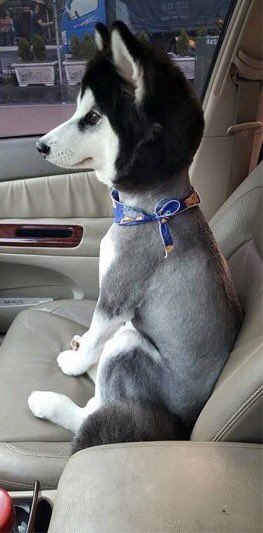 I'M SCREAMING 😂😭