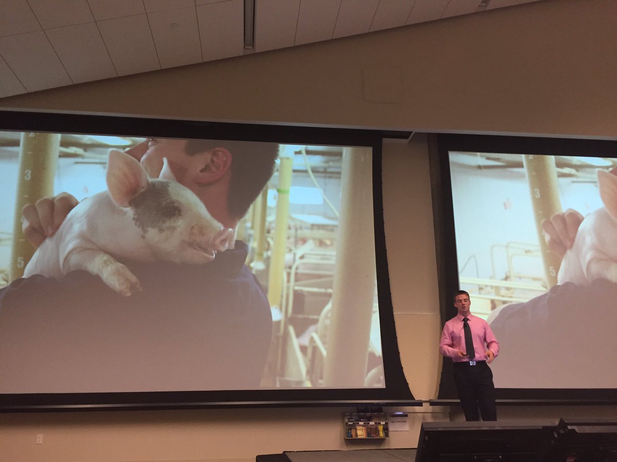 alx_andru's tweet photo. @SwineTech introducing the #fitbit for #pigs! Shockingly disrupting the pigfarmer industry! #ibmc2016 https://t.co/NvGrgmzKCx