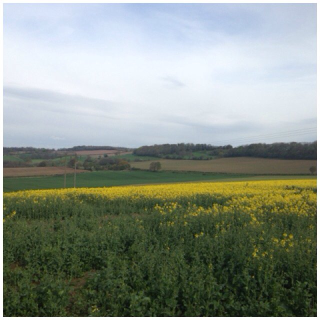 I just ran 4.76 km with Nike+. go.nike.com/08d92rul #nikeplus