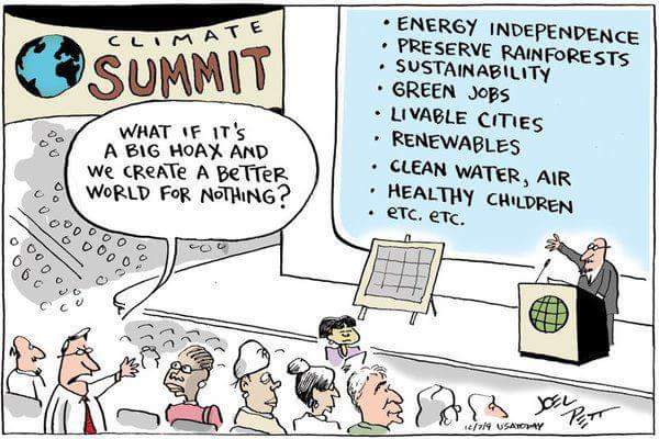 Liz O'Brien (@drlizob) on Twitter photo 
