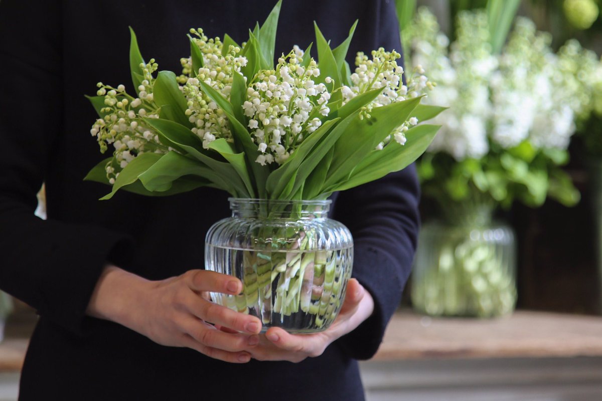 mcqueensflowers's tweet photo. Happy 1st Day of May! https://t.co/3h4E86DcmV