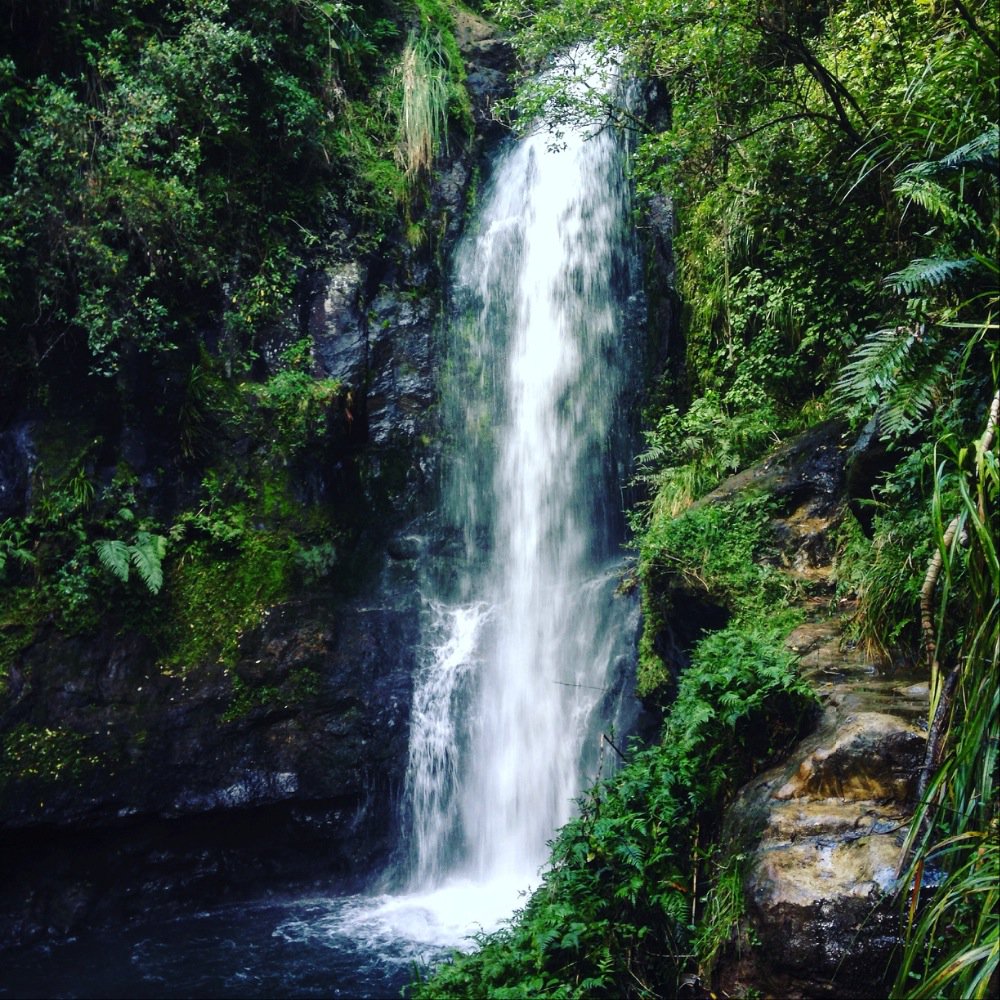 EscapeplanNZ's tweet photo. We took a weekend excursion to Tauranga and paid a quick visit to this epic spot. Guess where https://t.co/dRfZNdHlim