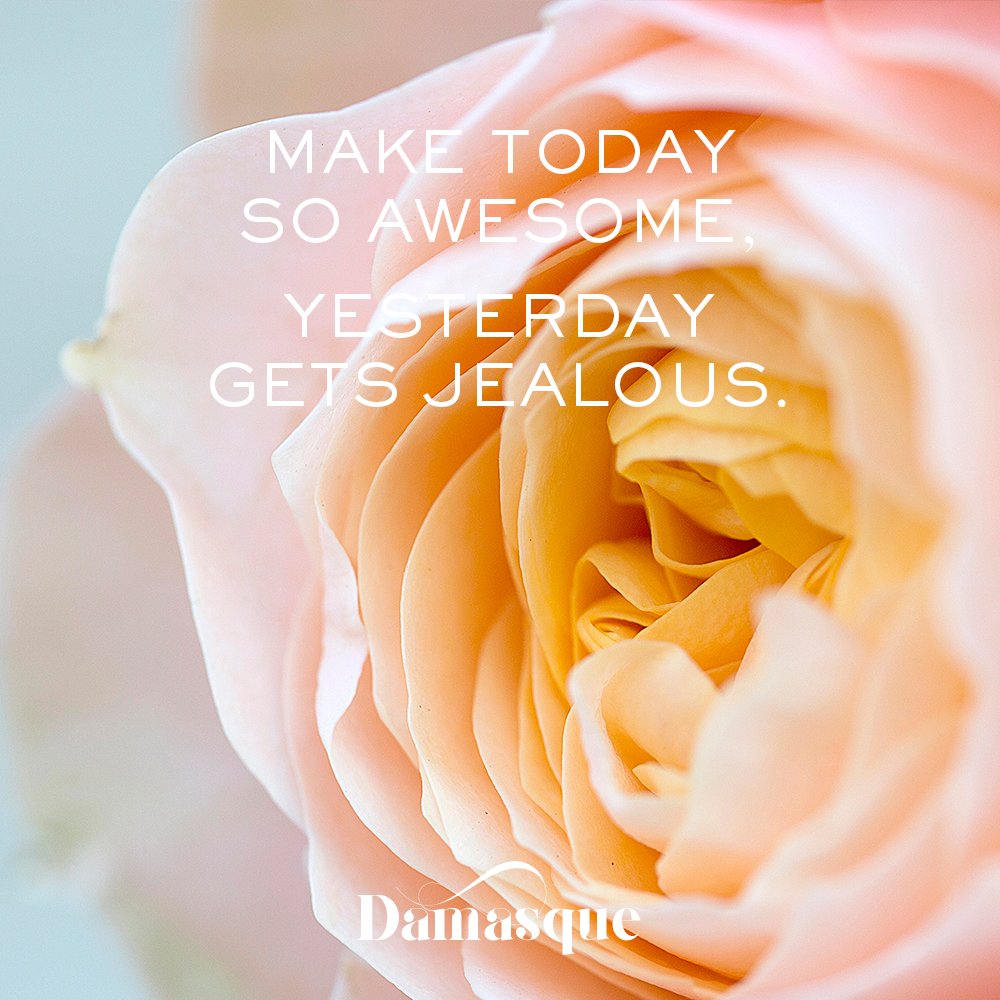 Because life is worth celebrating!
#Damasque #scentedroses #livelife #sundayinspiration