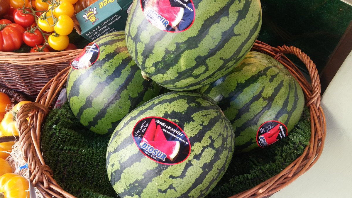 Stainesfarmshop's tweet photo. @SCOFFQUAFF . seedless watermelons. . these should hit the spot ! #whitstable #stainesfarmshop #keepyapoundslocal https://t.co/Pphtvvjsmy