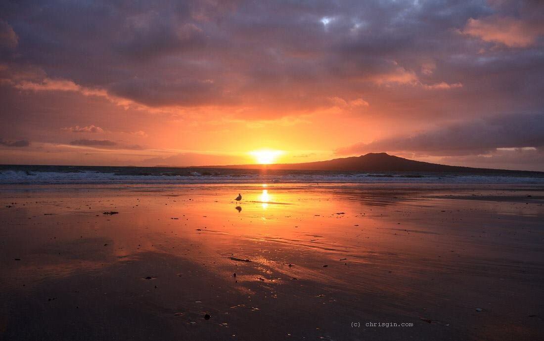 This morning's sunrise from Takapuna beach, Auckland. <a href="/ingridhipkiss/">Ingrid Hipkiss</a> <a href="/KanoaLloyd/">Kanoa Lloyd</a> <a href="/PureNewZealand/">New Zealand 🇳🇿</a> @Auckland_NZ