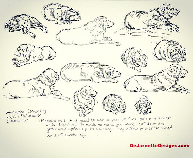 #Animal #LifeDrawing notes I did while teaching at #CCS. Art by Layron DeJarnette #tutorial #dog #gesture
