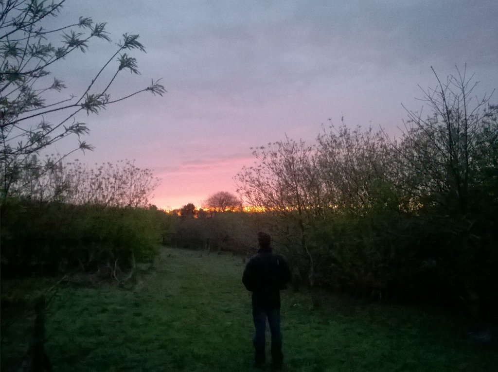 #Daybreak #dawn #dawnchorus #soundcamp @idcd <a href="/eotwgarden/">EndoftheWorldGarden</a>