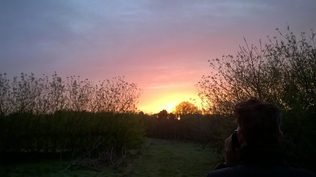 Happy #InternationalDawnChorusDay <a href="/idcd/">Dawn Chorus Day</a> that was a delight <a href="/eotwgarden/">EndoftheWorldGarden</a> #reviel2016 #dawnchorus