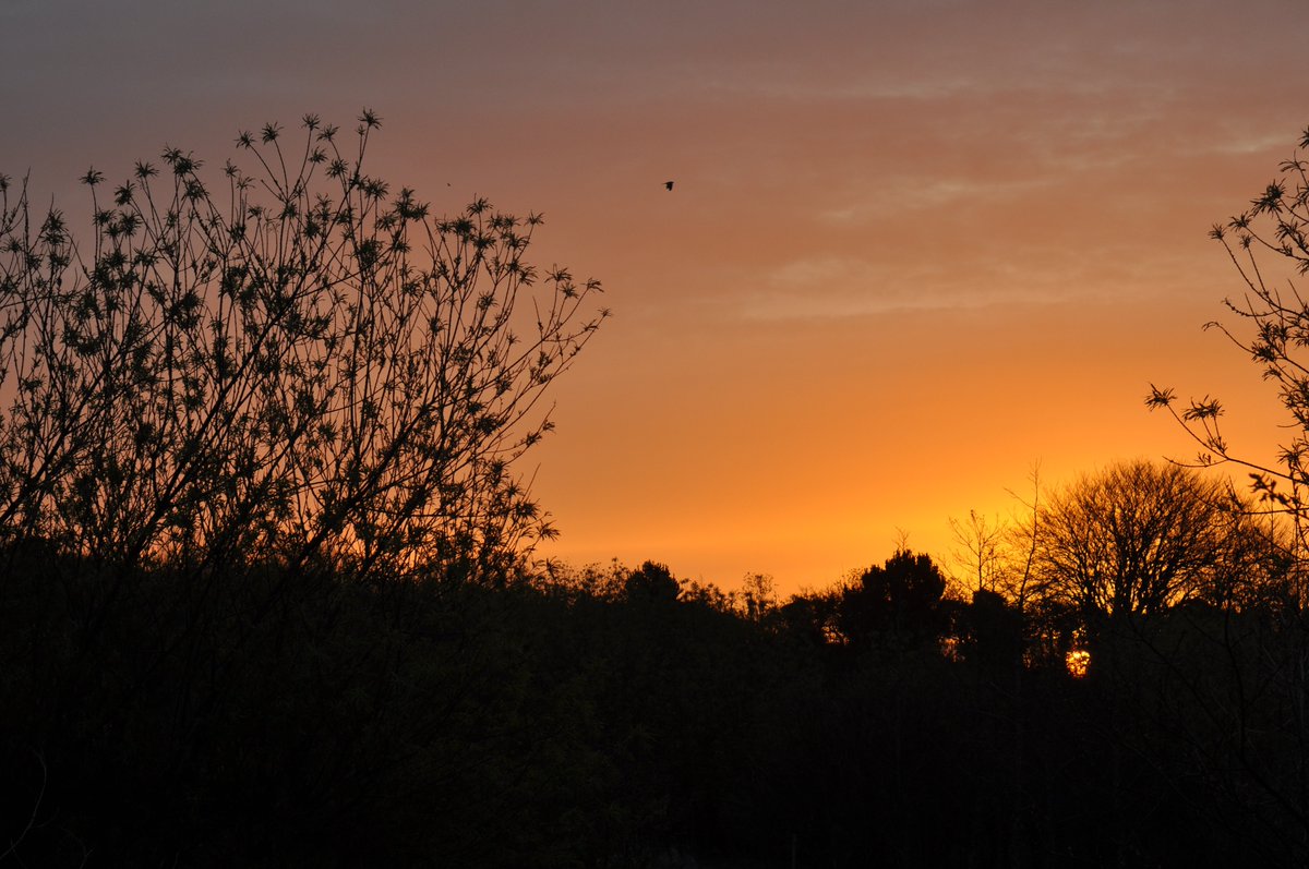 Being is with, otherwise nothing exists. #IDCD <a href="/eotwgarden/">EndoftheWorldGarden</a> with <a href="/realwildthymes/">Real Wild Thymes</a> #Reveil2016 #Cornwall <a href="/Trailmixbram/">Bram Thomas Arnold</a>