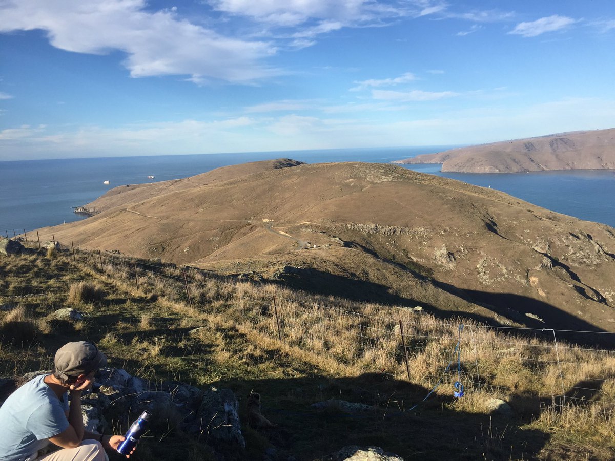 will_harvie's tweet photo. Walking the most interesting parts of the chch 360 trail #godleyhead https://t.co/j2wIea1beX
