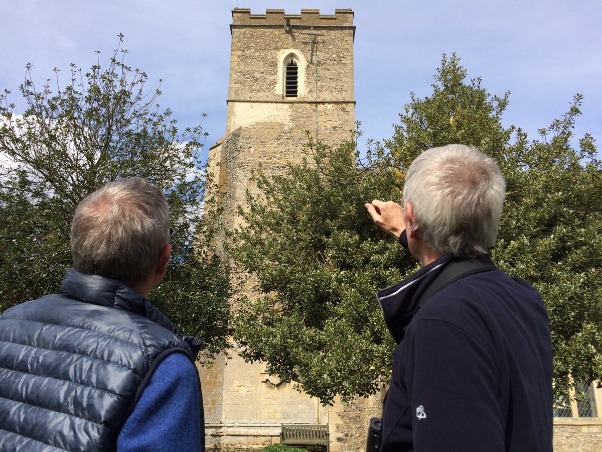 JournoJon's tweet photo. Is your church #SwiftReady? https://t.co/k5tMBV8106 one Suffolk church has started a new breeding colony https://t.co/2OIVgOxZI5