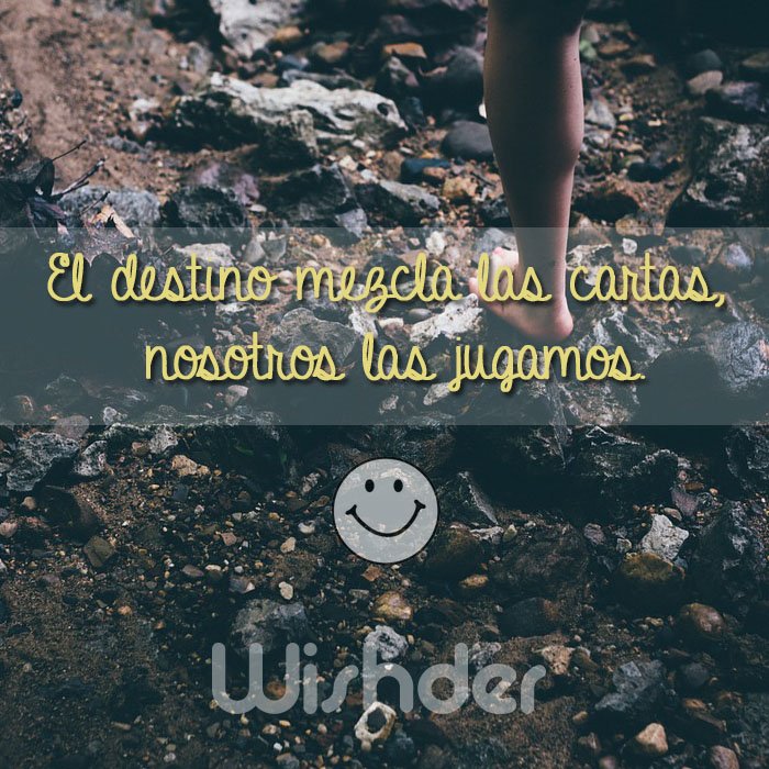 ¡Feliz Domingo y Feliz día de la Madre! :D:D #FelizDomingo #FelizDiaMama
- app kcy.me/2cr15