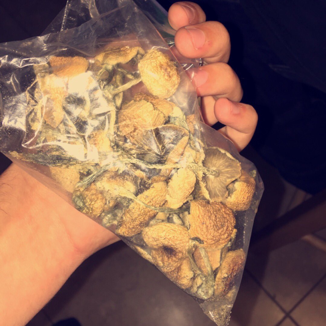 Elopez_trvp's tweet image. Shrooms On The High🙄🔌
I Retired Though 
#TrippyKit