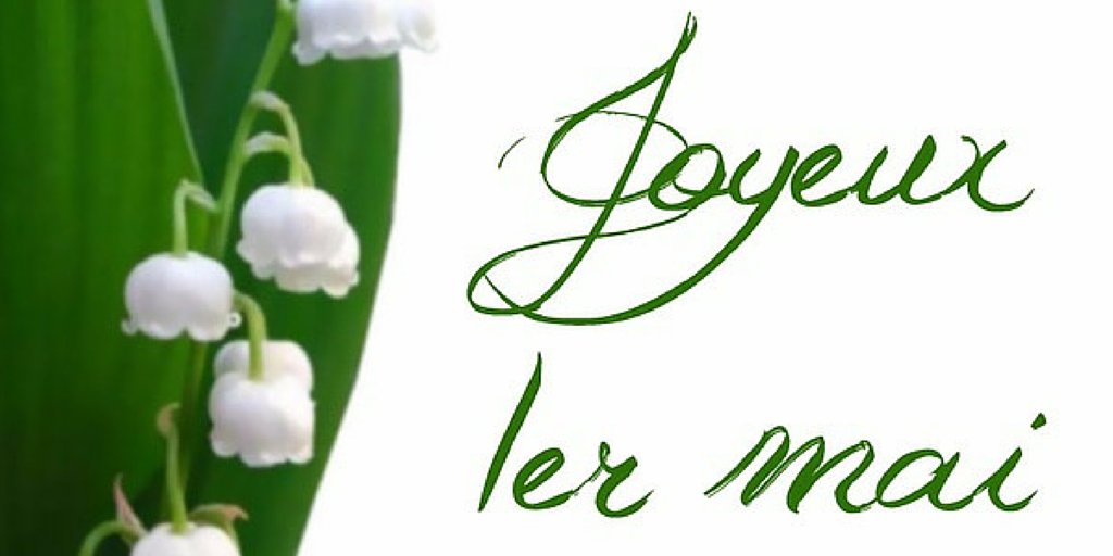 AzuraH_D's tweet photo. Et très bonne fête du muguet ! #1ermai #printemps https://t.co/gKR0rJb4J7