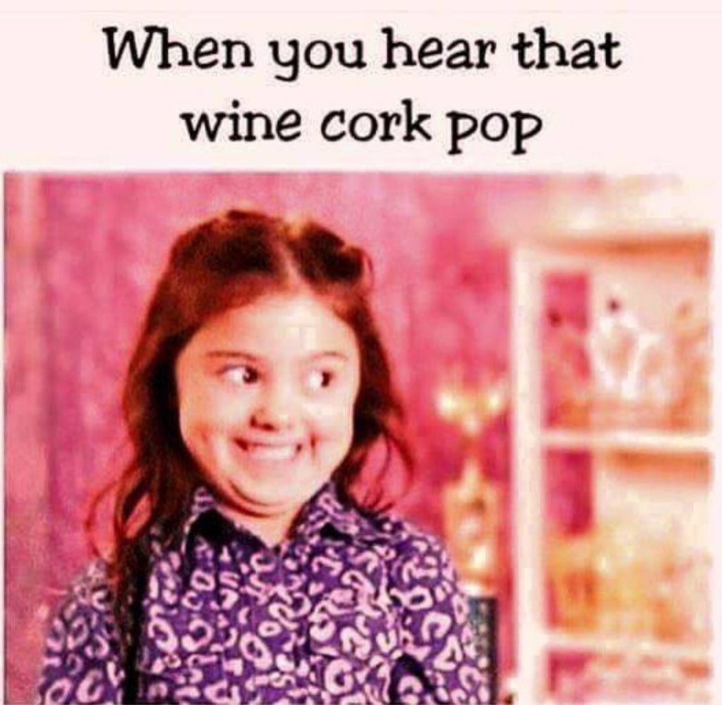 HannekeBotha's tweet photo. https://t.co/R5333P5gsm @wilna2m