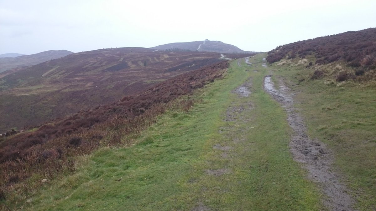 Moel Famau Run Club tweet media