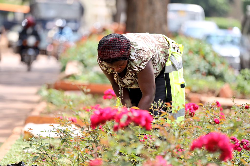 Kampala Capital City Authority (KCCA) tweet media