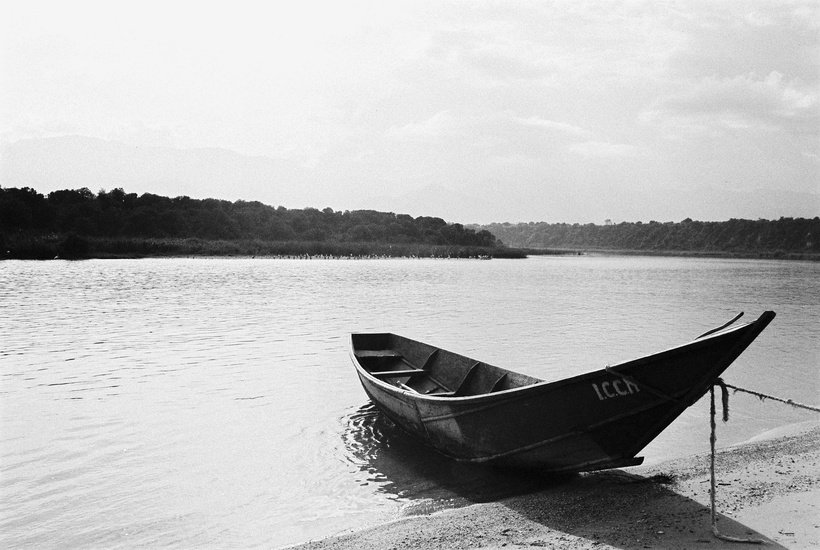 SaveVirunga's tweet image. African govrt have responsibility to maintain fish stocks while enabling people to benefit from them #ICCN #Virunga