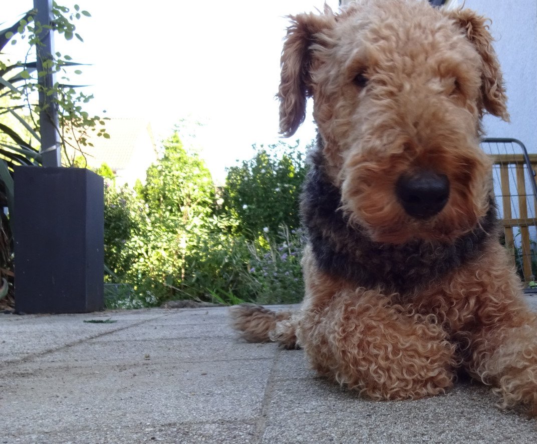 Berti_and_Ernie's tweet photo. .... https://t.co/14X3cURHMw