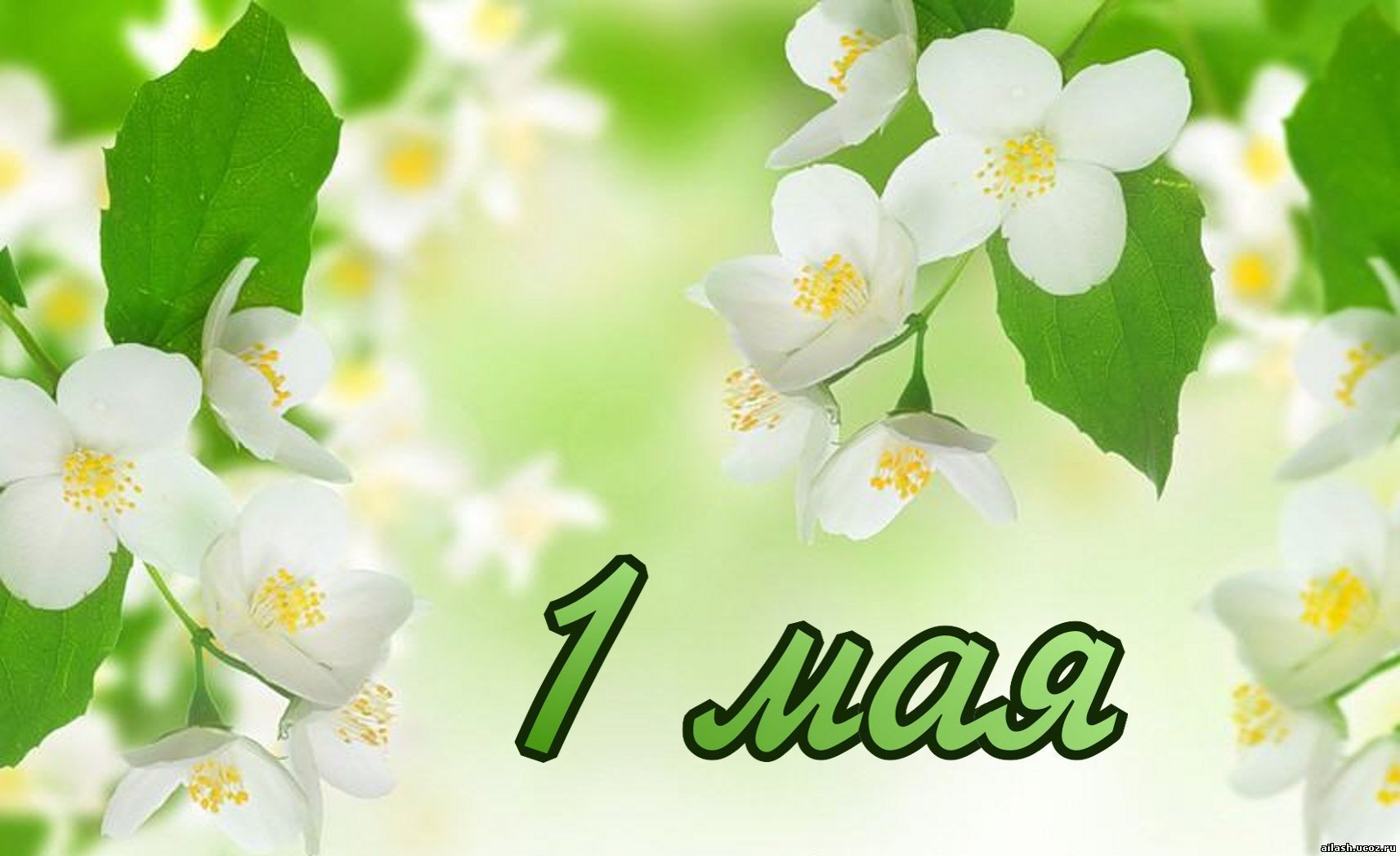 Выход, открытки на 1 мая шаблоны