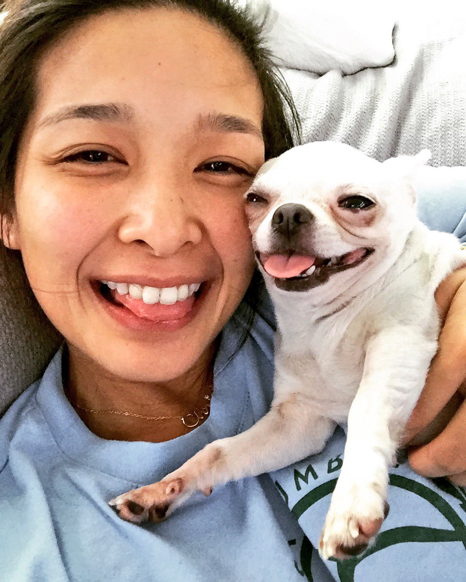 acpatrimonio's tweet photo. Happy Sunday! ☺️ #ilovemyfurbabies #honeythechihuahua #loveisdogs https://t.co/67vIxv38EN
