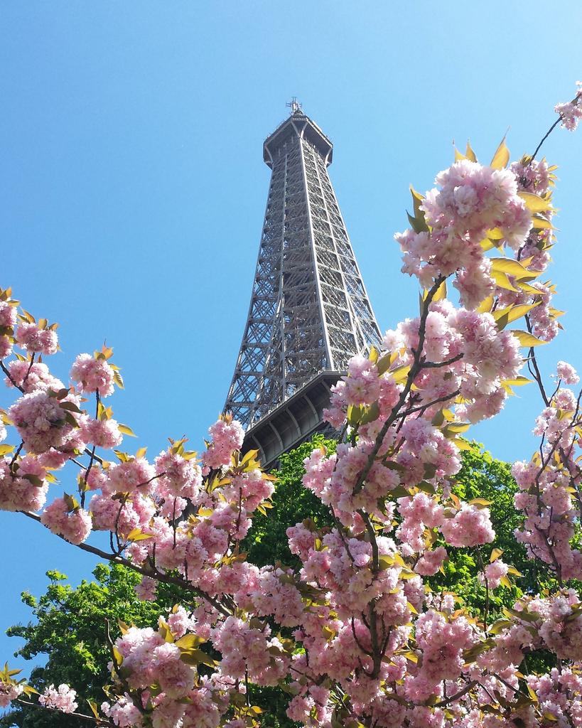 TiiaKares's tweet photo. #pariisinkevät 🌸 https://t.co/rAeSDdoPPQ