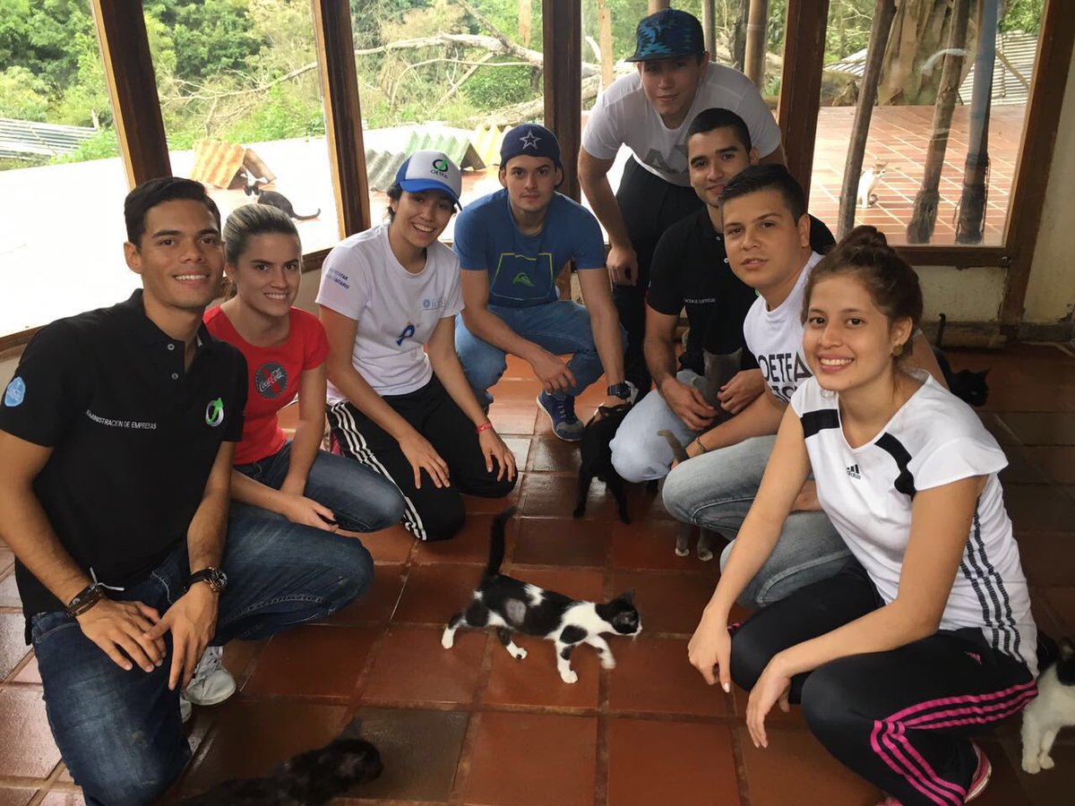 OETFA's tweet photo. Fue un día diferente y especial para nosotros y los animales de Paz Animal. ¡Dejamos nuestra huella! 🐾🐶💚 https://t.co/YGtaNdf3qD