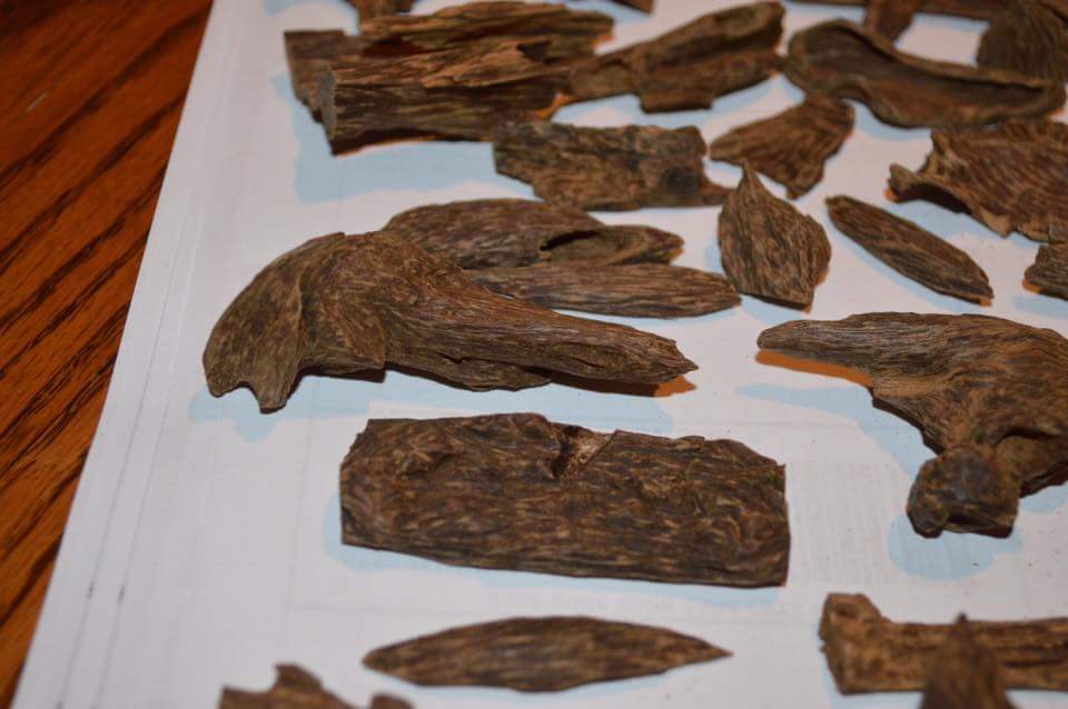 Agarwood Consulting (@agarwoodaddict) on Twitter photo 
