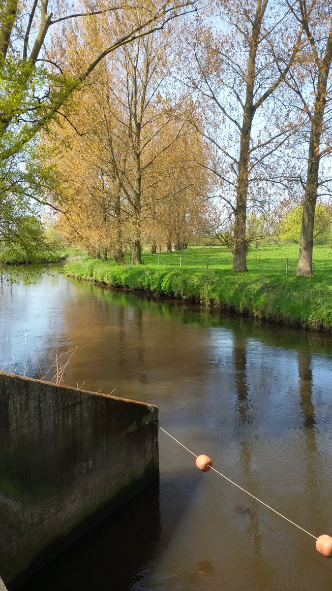 WNdeDommel's tweet photo. Open dag #rioolwaterzuivering #Sint-Oedenrode zeer informatief nog tot 17.00 open @wddommel blijft bijzonder https://t.co/xV49wNeIdm
