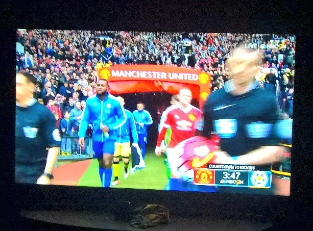 ABeardedBasterd's tweet photo. #leicesterCityFC we will be champions! DARE To DREAM! Hope Against Hope! Boys LACE UP AND MAKE IT HAPPEN #WIN 🏆@LCFC https://t.co/MkEOsdfLnY
