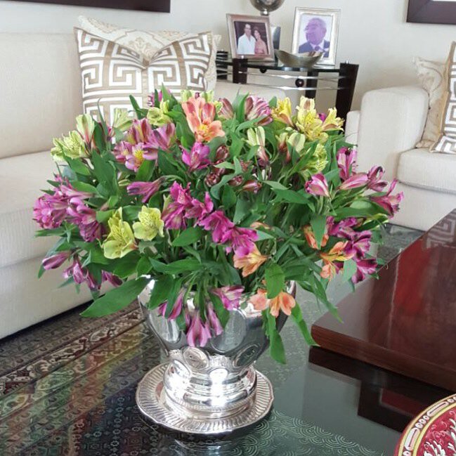 ROSALEDA_BDF's tweet photo. Astromelias de colores para el mes de la madre 🌷🌷🌷 @rosaleda_boutiquedeflores Inf: 3105352025 https://t.co/tyLHEDwni1