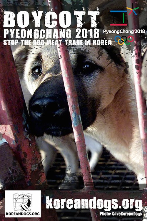 catsfromulthar's tweet photo. 🚫TWEETSHEET ANYTIME🚫#Boycott #PyeongChang2018🚫 #SOUTHKOREA➡MILLIONS OF DOGS TORTURED❗➡https://t.co/rP3UCQrI5i https://t.co/ex12fmttbN