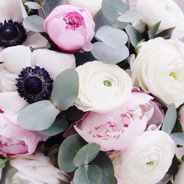 Santa Lucia (@666santalucia) on Twitter photo 