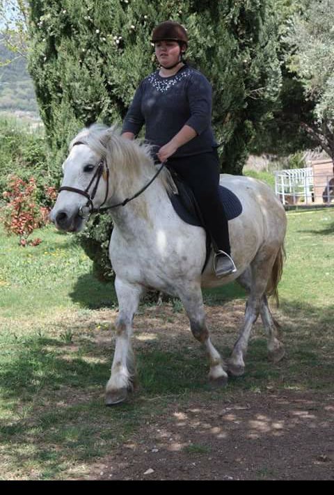 lea_hacherel's tweet photo. Atari mon bonheur ❤❤❤❤🐎🐴 
#Leplusgentildesponeys https://t.co/ckOkQUUqPi