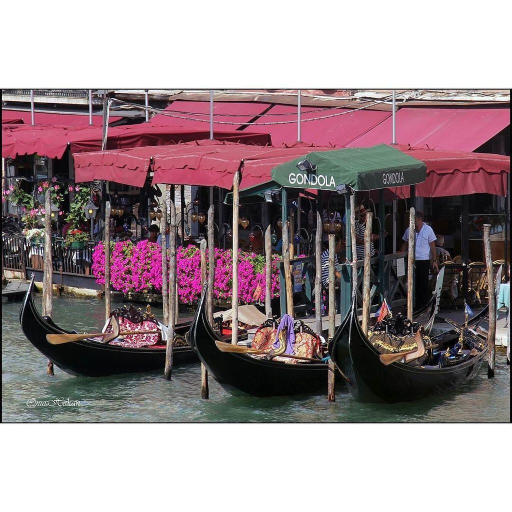 PicsFromVenice's tweet photo. Venezia! #bestagram #photo #photography #photooftheday #vsco #vscocam #ig #igers #ig_capt… https://t.co/YwgJlvIs5J https://t.co/CJS0zJJLnd