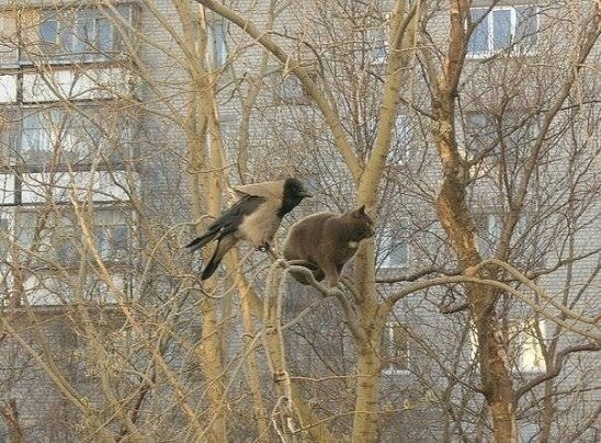 programshcool's tweet image. Хорошо сидим.