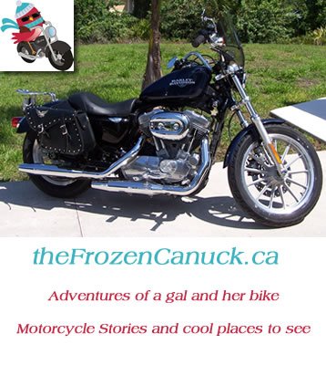 Sandy Bird tweet media